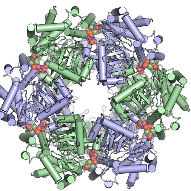 structural biology illustration